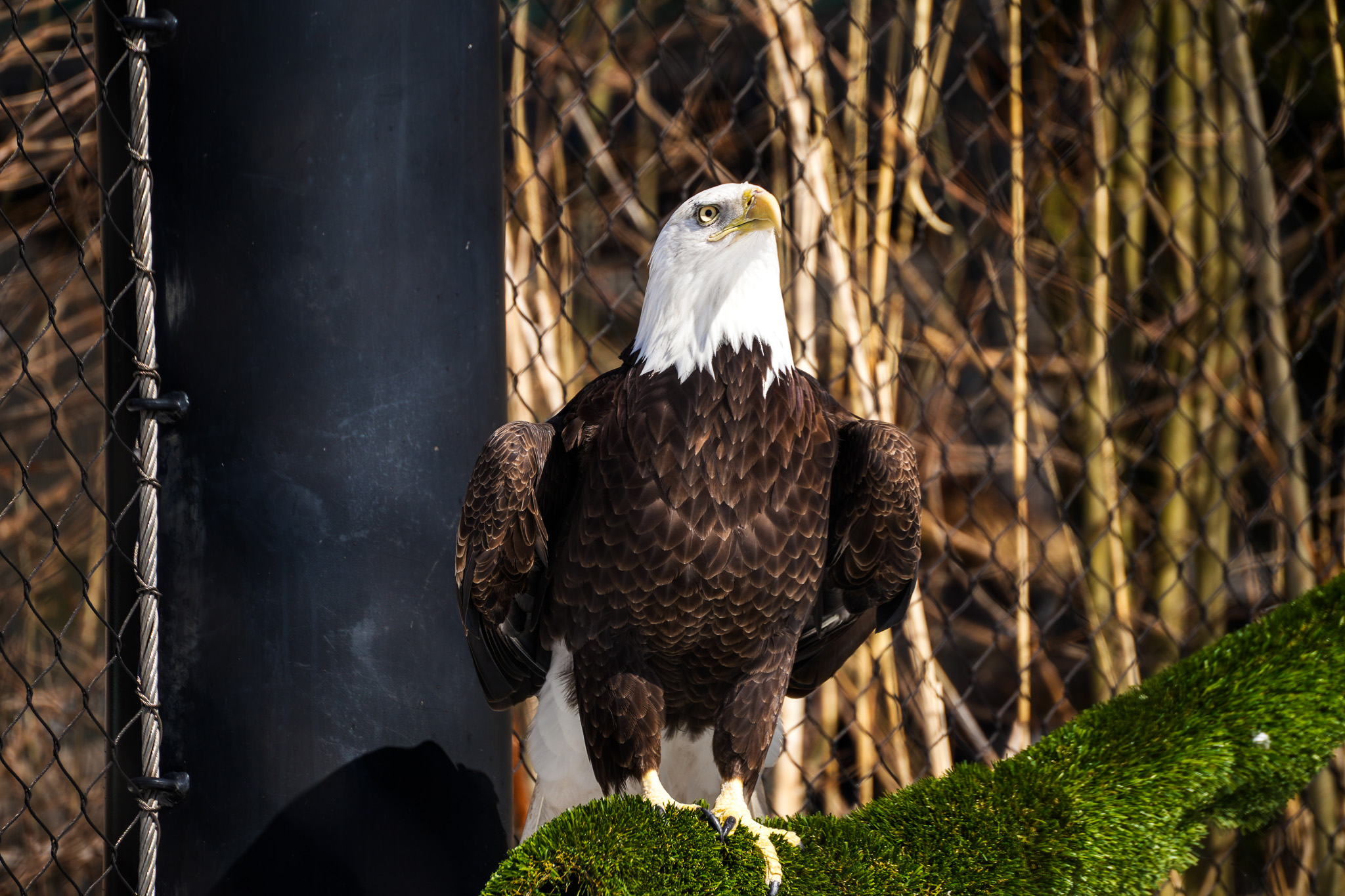 Creative photography NJ